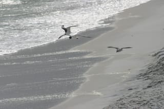 IMG_0417