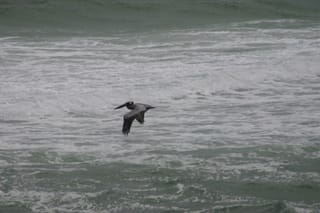 IMG_0444