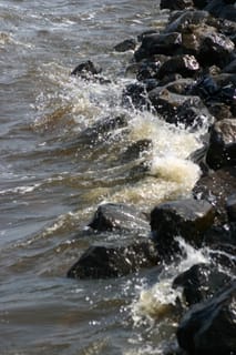 IMG_0323