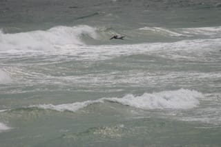 IMG_0425
