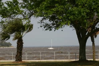IMG_0260