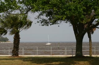 IMG_0264
