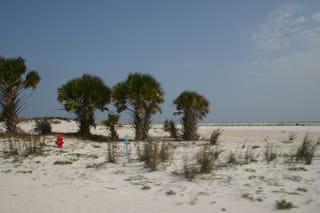 IMG_0373