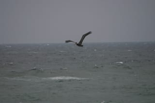 IMG_0440