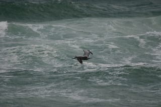 IMG_0447