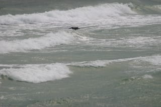 IMG_0426