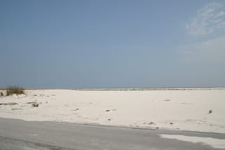 IMG_0372