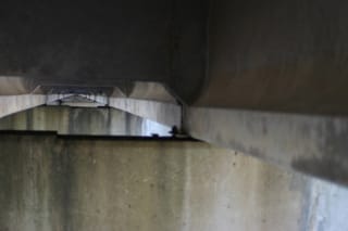 IMG_0340