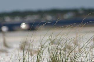 IMG_0664
