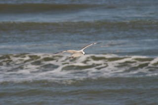 IMG_0683