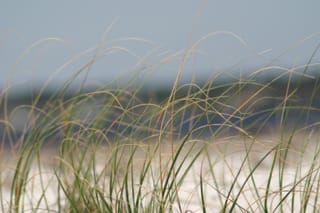 IMG_0666