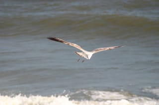 IMG_0684