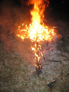 Ballancio Bonfire 10