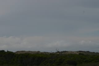 IMG_0968