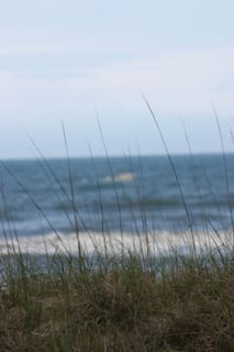 IMG_0980