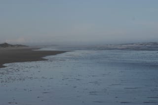 IMG_0981