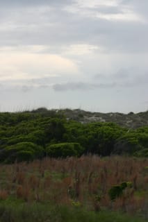 IMG_0971
