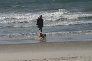 IMG_1068