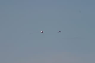 IMG_0950