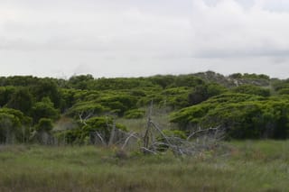 IMG_0966