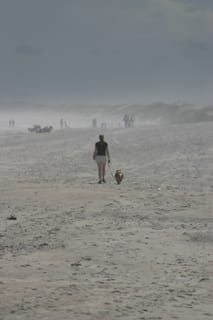 A walk on the beach