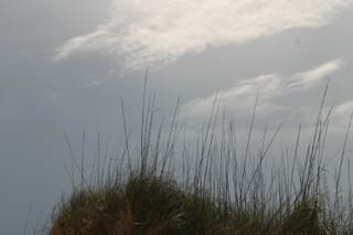 IMG_0954