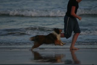 IMG_1045