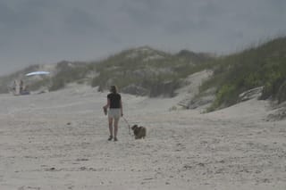 IMG_0953