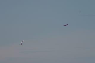 IMG_0951