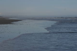 IMG_0982