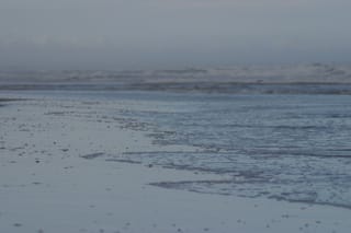 IMG_0984