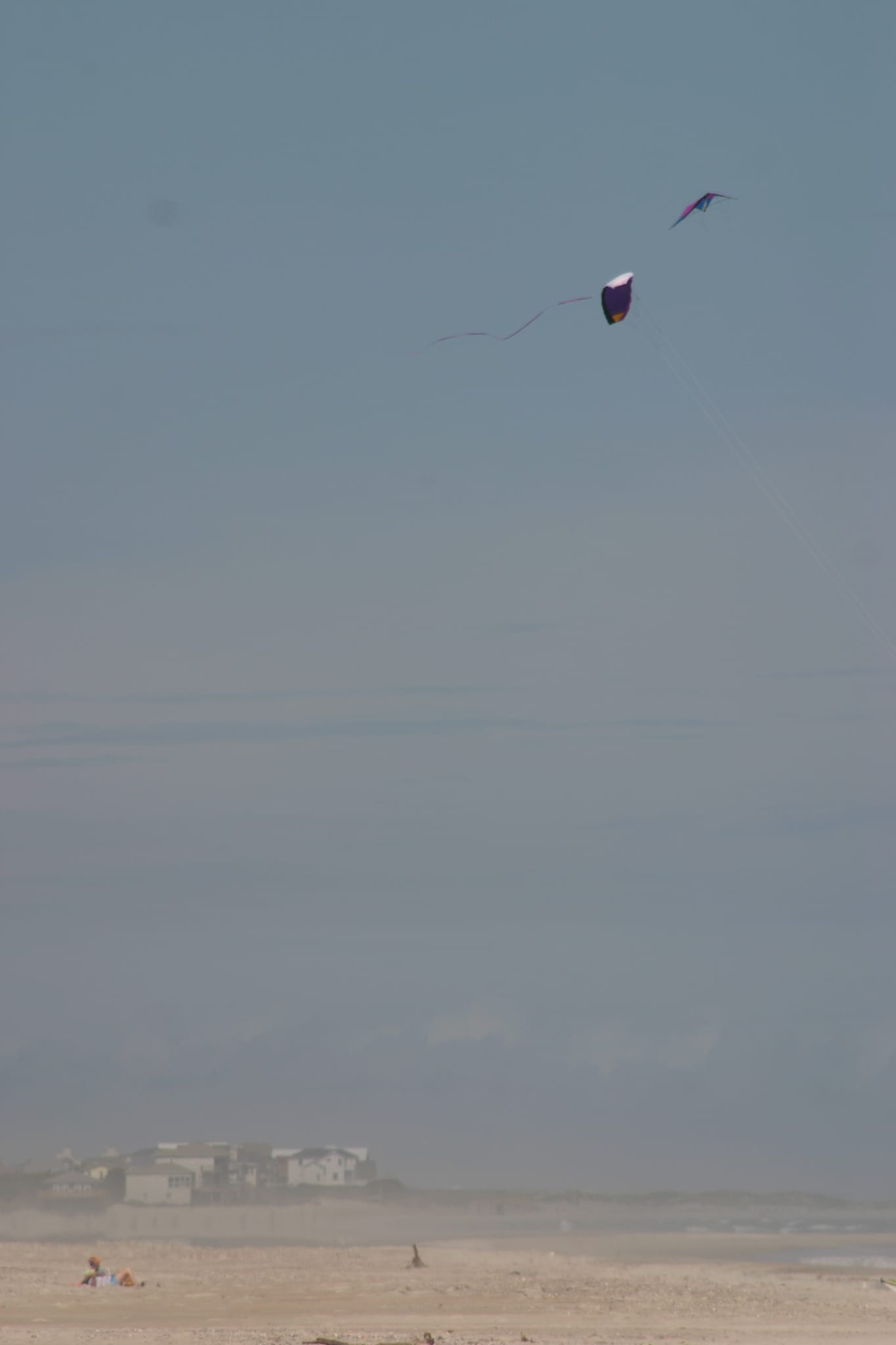 Kite at bear island