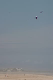 Kite at bear island