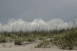 Tall grass in the clouds - Bear Island, NC