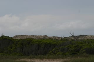 IMG_0967