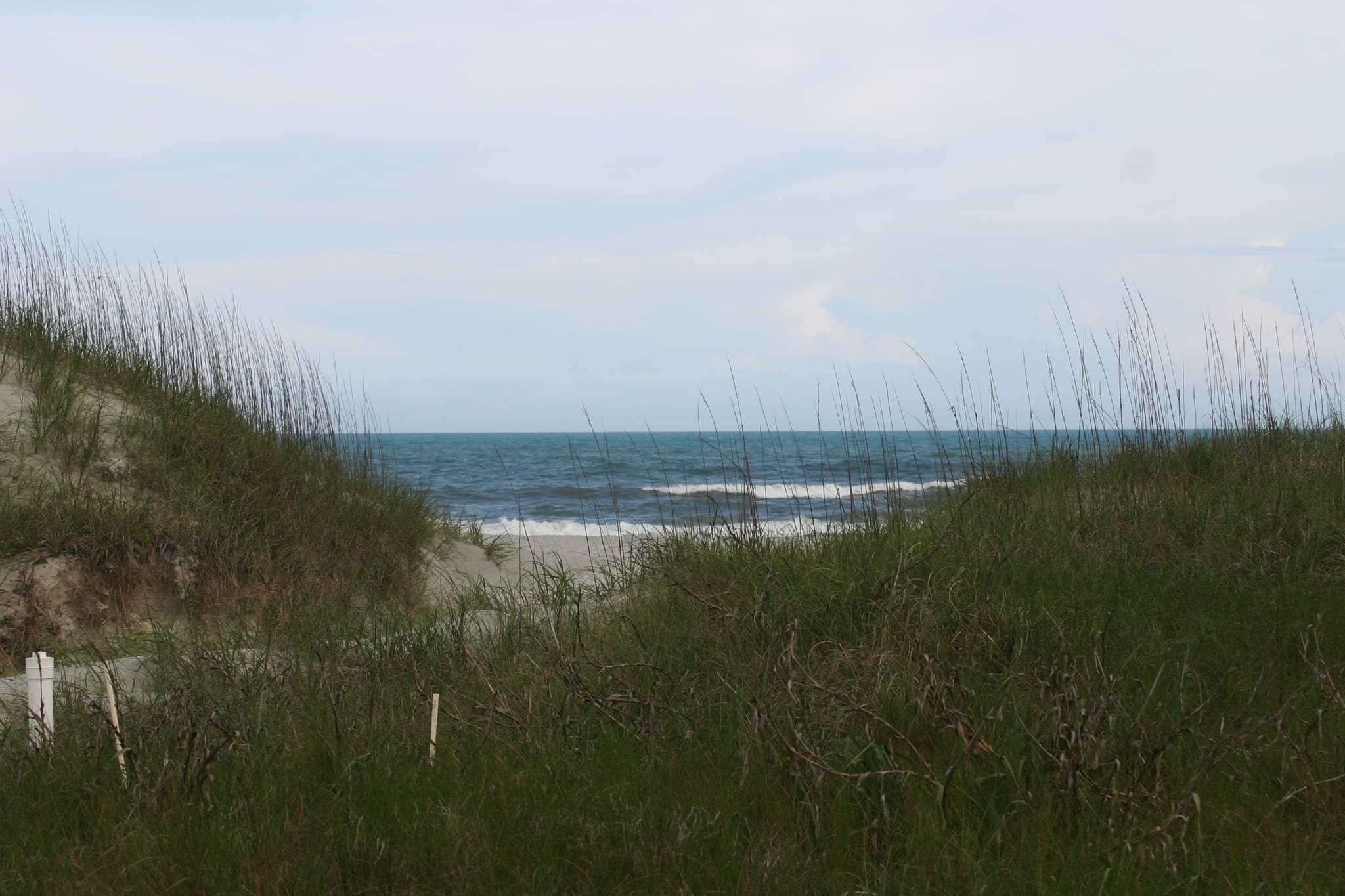 Bear Island - Hammocks Beach State Park, NC