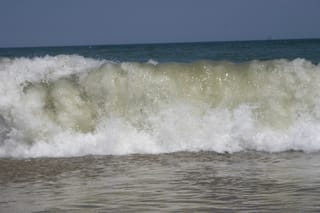 OBX - Beach Monday 039