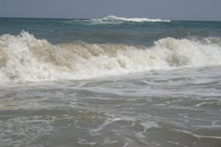 OBX - Beach Monday 040