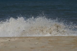 IMG_1372
