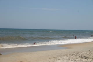 IMG_1351