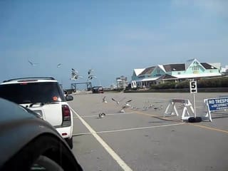 Outer Banks 09 002