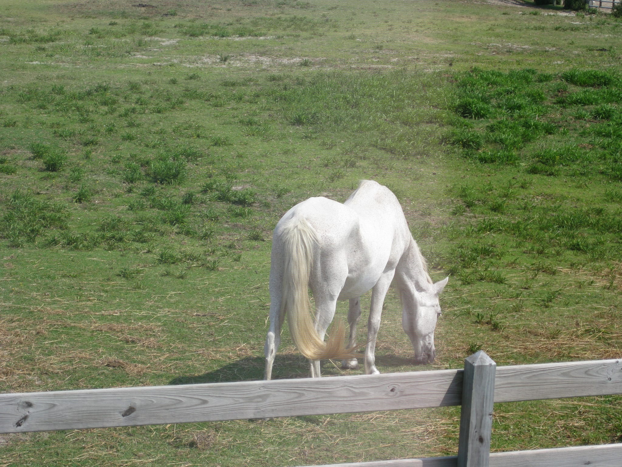Outer Banks 09 028
