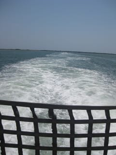 Outer Banks 09 062