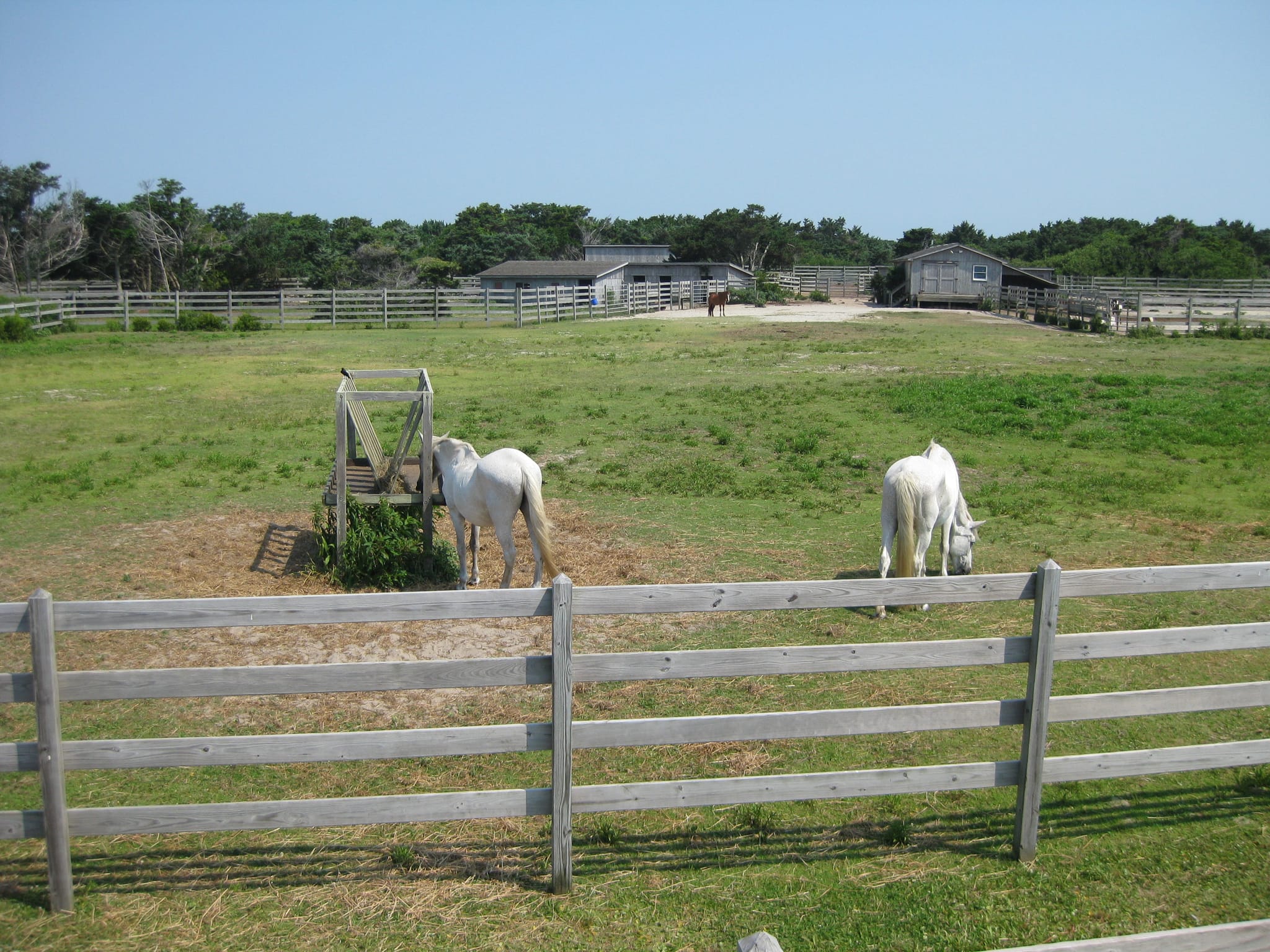 Outer Banks 09 026