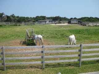 Outer Banks 09 026