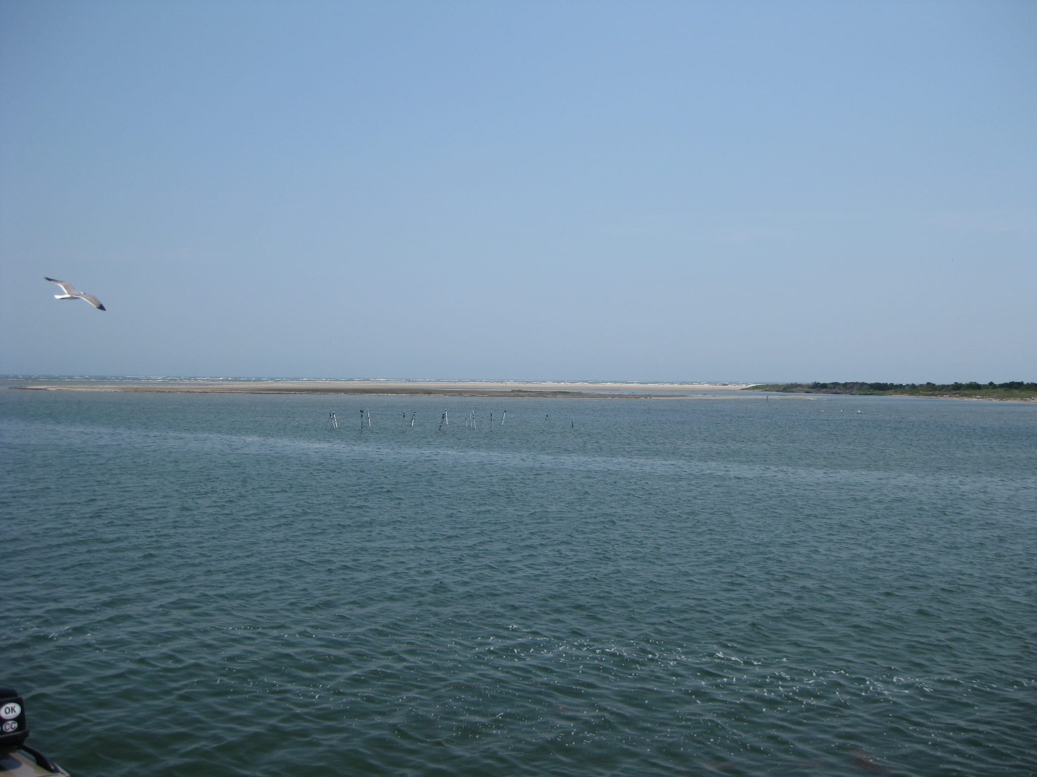 Outer Banks 09 047