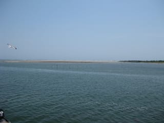 Outer Banks 09 047