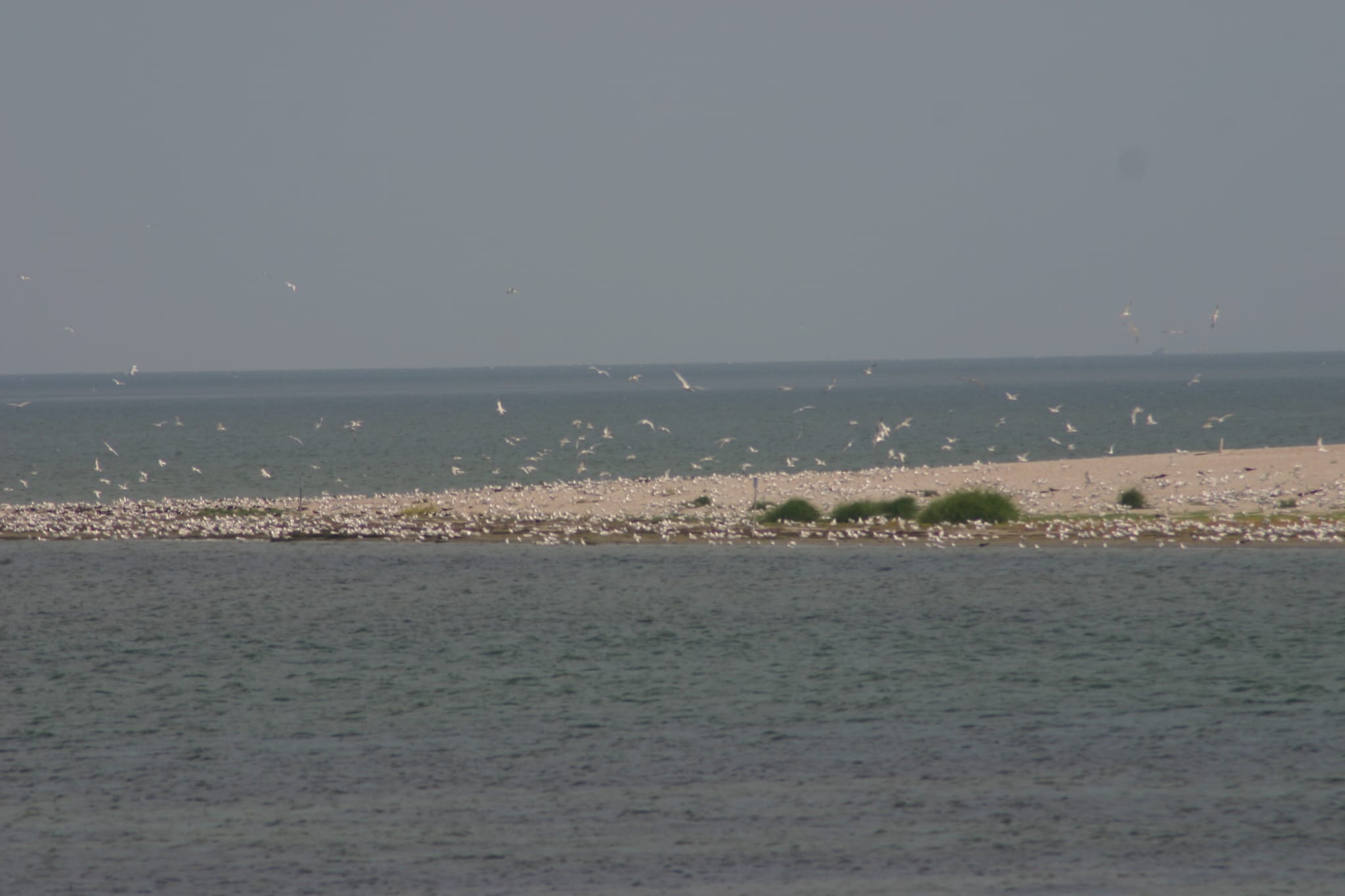 Ocracoke Island Day Excursion 009