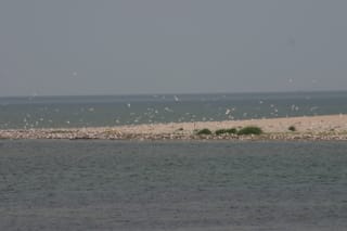 Ocracoke Island Day Excursion 009