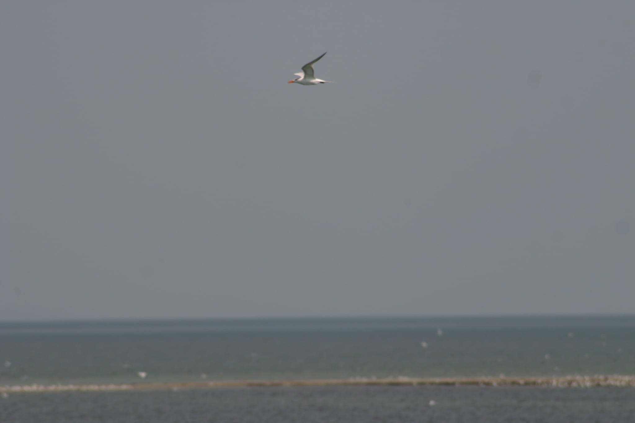 Ocracoke Island Day Excursion 012